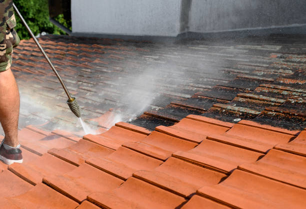 Best Power Washing Near Me  in Sunrise, FL