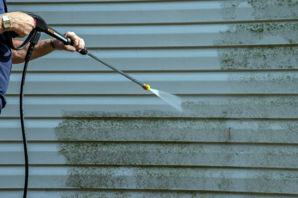 Best Roof Power Washing Services  in Sunrise, FL