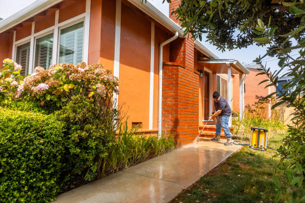 Best Roof Pressure Washing  in Sunrise, FL